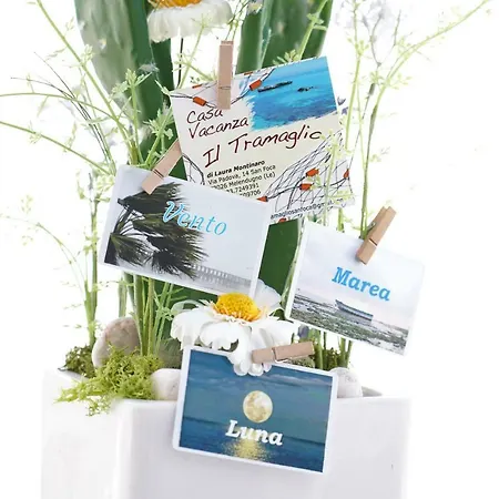 بيت للعطل Casa Il Tramaglio